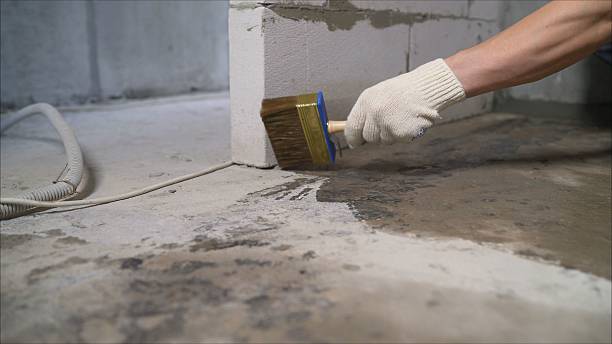 SJ Waterproofing Pros Emergency Waterproofing coverage map for Wild Rose, WI and surrounding area